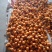 大五星枇杷0.6两以上