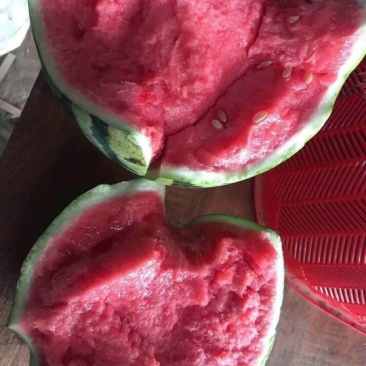 西瓜精品西瓜种植基地量大从优支持视频看货不熟包退