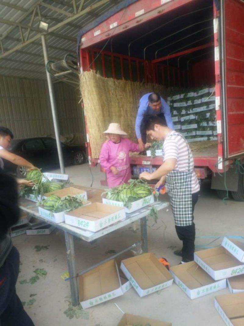 产地直供，小糖丸，甜王，美都，八成熟以上现摘视频看货