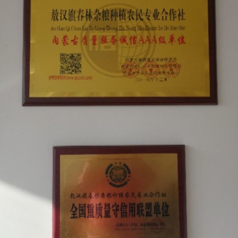 荞麦面粉荞面荞麦粉敖汉特产，旱地种植零添加！