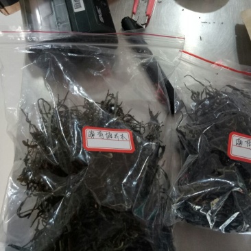 茶叶特级原产地原料加工