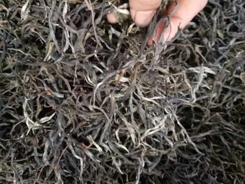 茶叶特级原产地原料加工