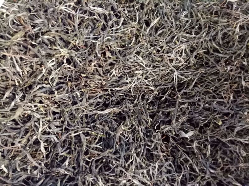 茶叶特级原产地原料加工