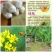 蜜糖新鲜们靓蜂蜜