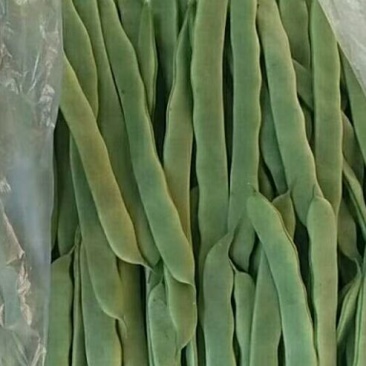！！！芸豆20cm以上大扁，产地供应
