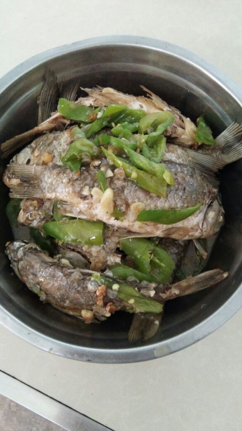 鲫鱼