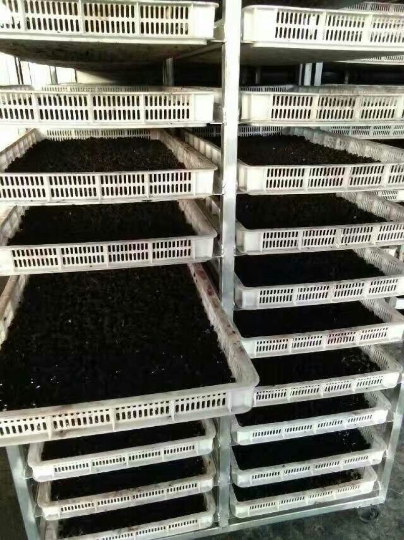 桑葚干一级粒粒精选质量保证