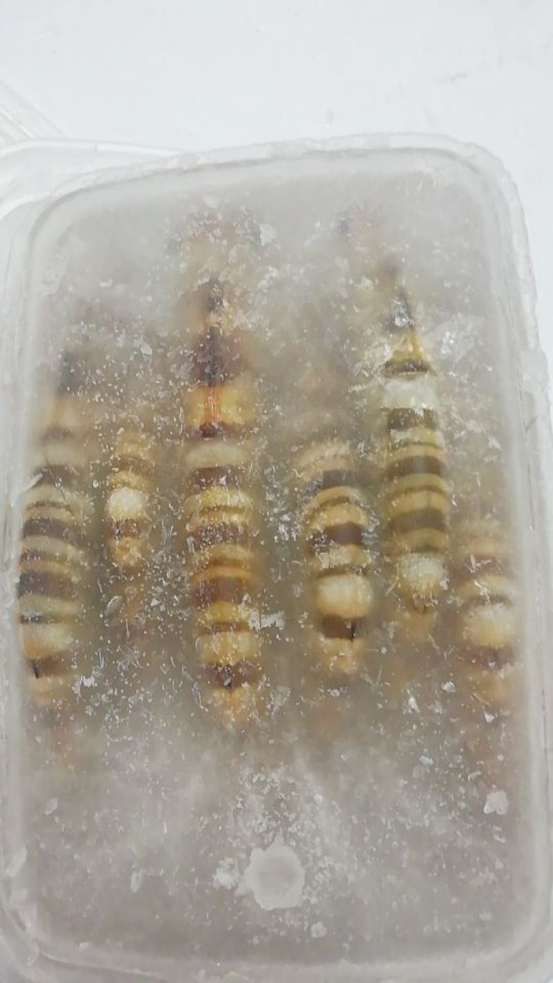 虾干一级