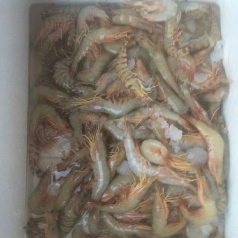 虾干一级