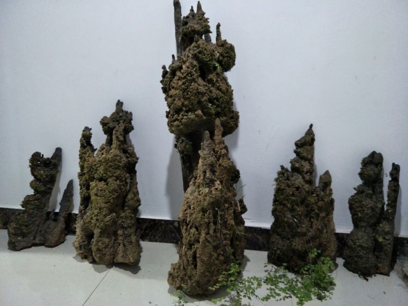 上水石