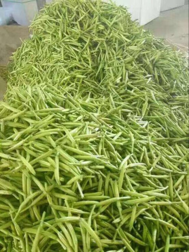鲜黄花菜散装，袋装，一级淄博鲜黄花菜常年供应