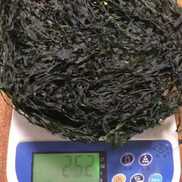 干海带丝散装
