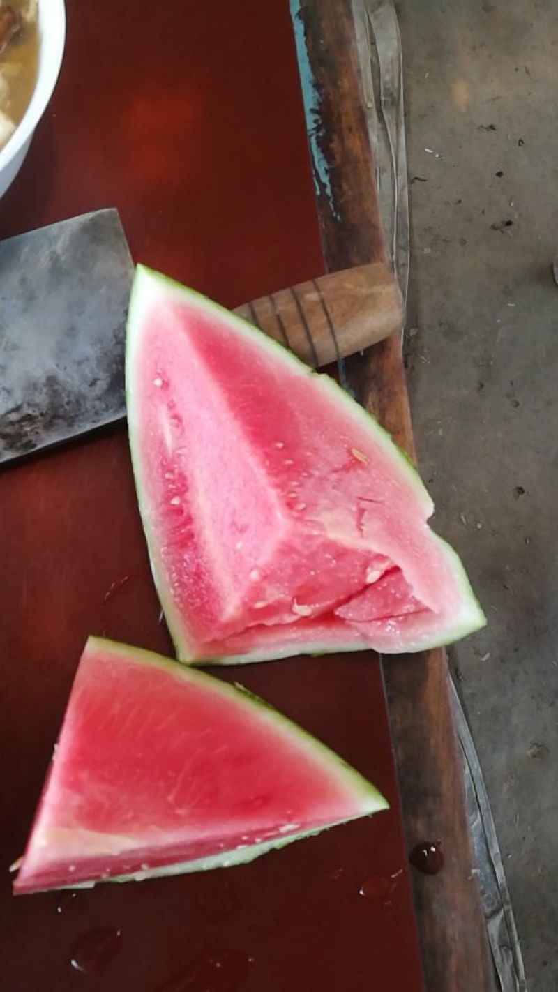 万亩无籽美都西瓜种植基地