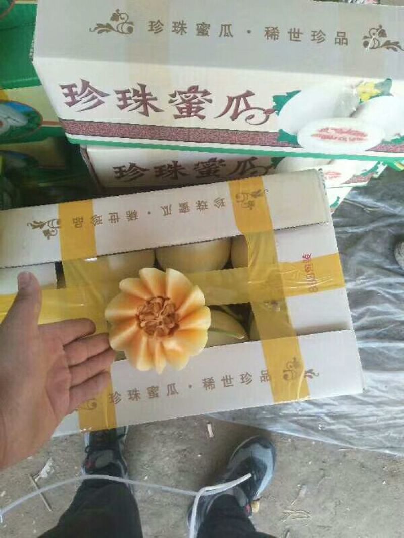 香瓜1.5斤以上品种很多，各种甜瓜！欢迎新老客户前来选