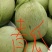 香瓜1.5斤以上品种很多，各种甜瓜！欢迎新老客户前来选