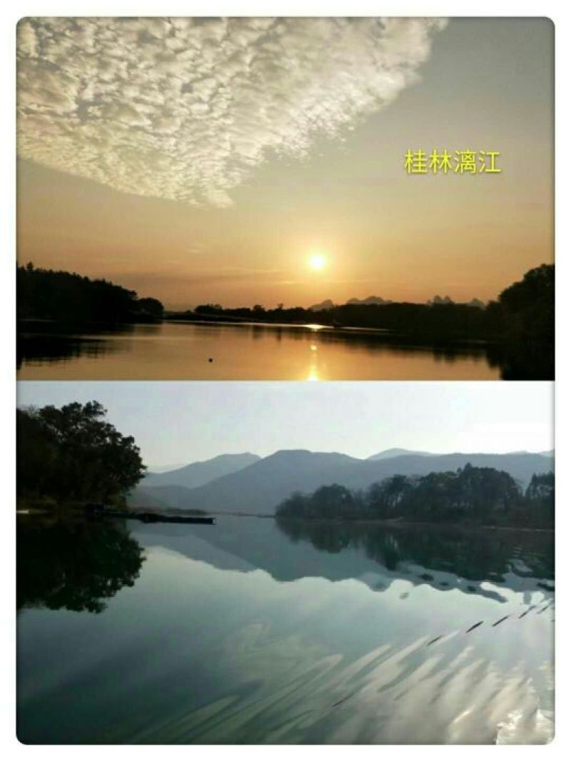 鲜虾酱