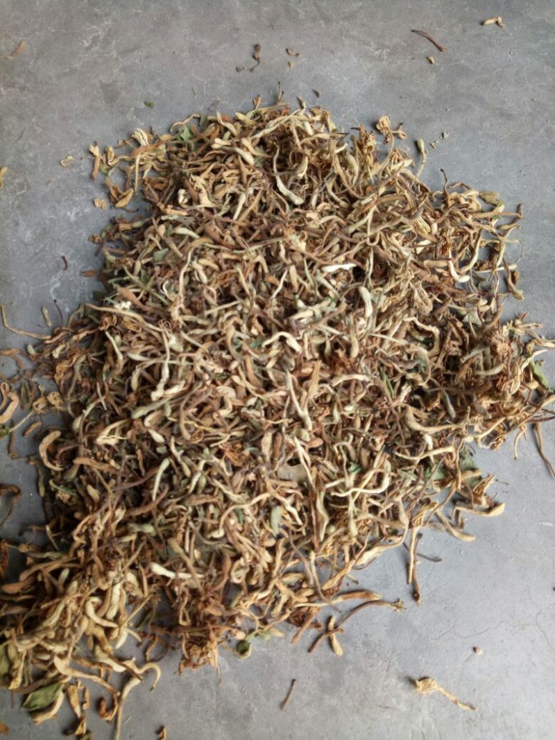 金银花统花常年大量供应山东道地各种中药材