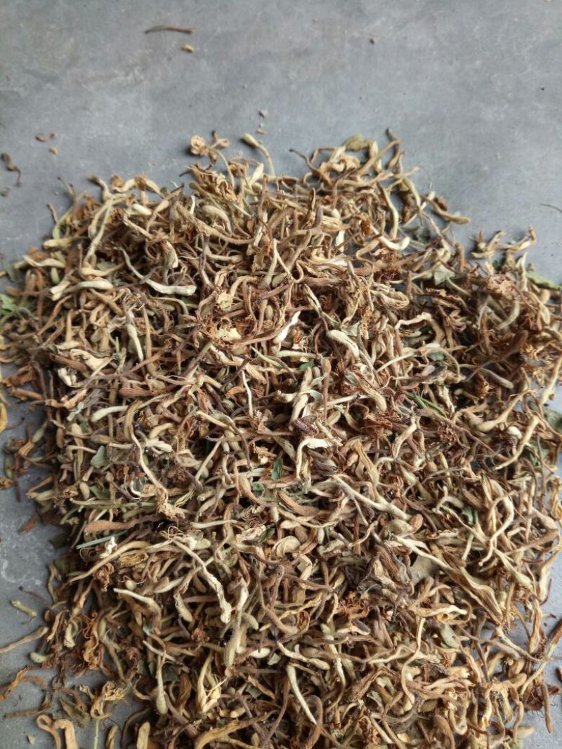 金银花统花常年大量供应山东道地各种中药材