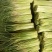 蒜薹精品50------60公分