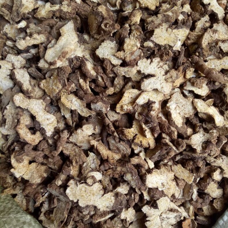 中药材批发东北苍术