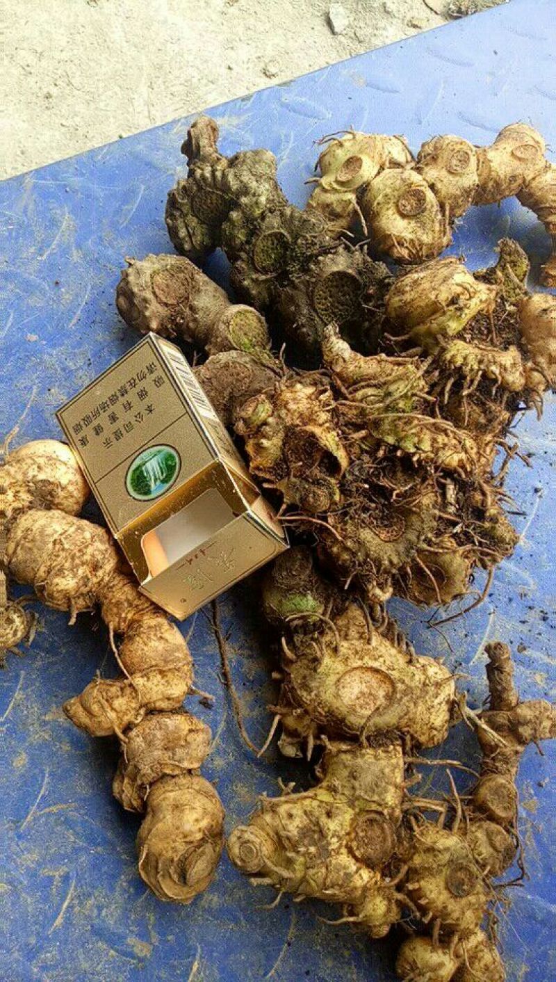 黄精甜统个
