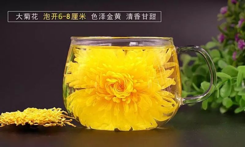 金丝皇菊茶一级