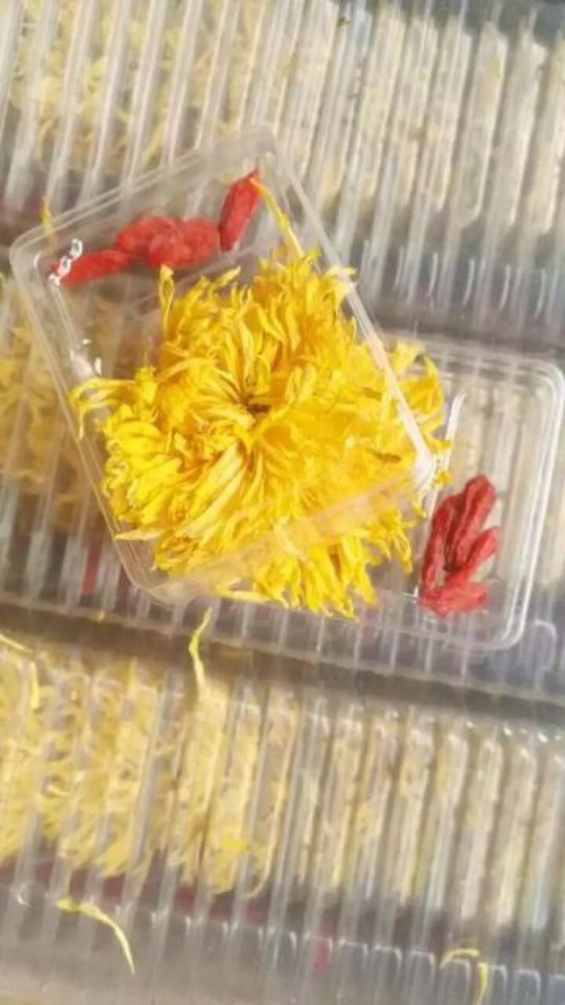 金丝皇菊茶一级
