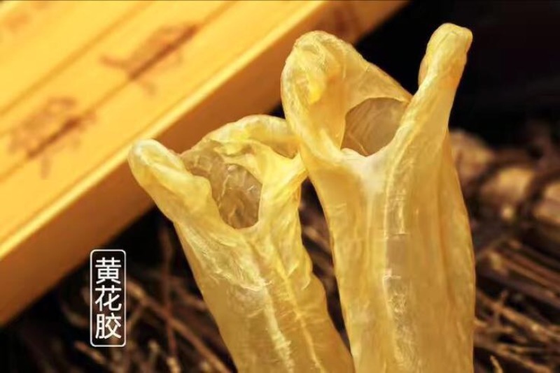 花胶大