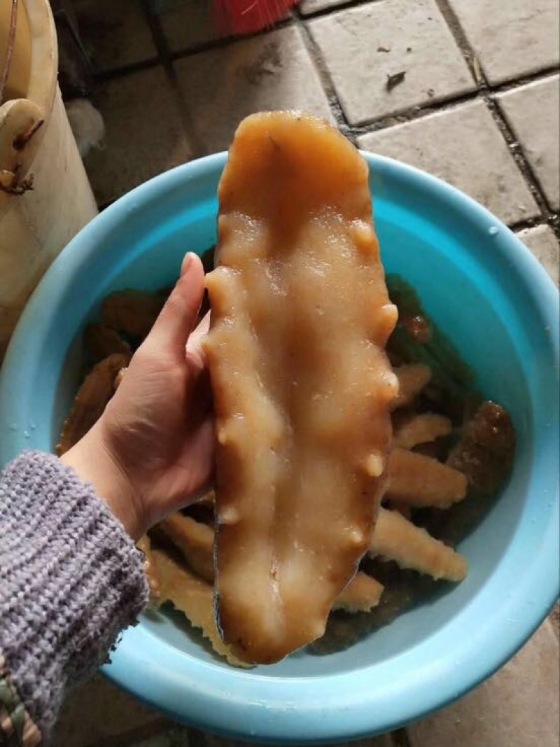 干海参