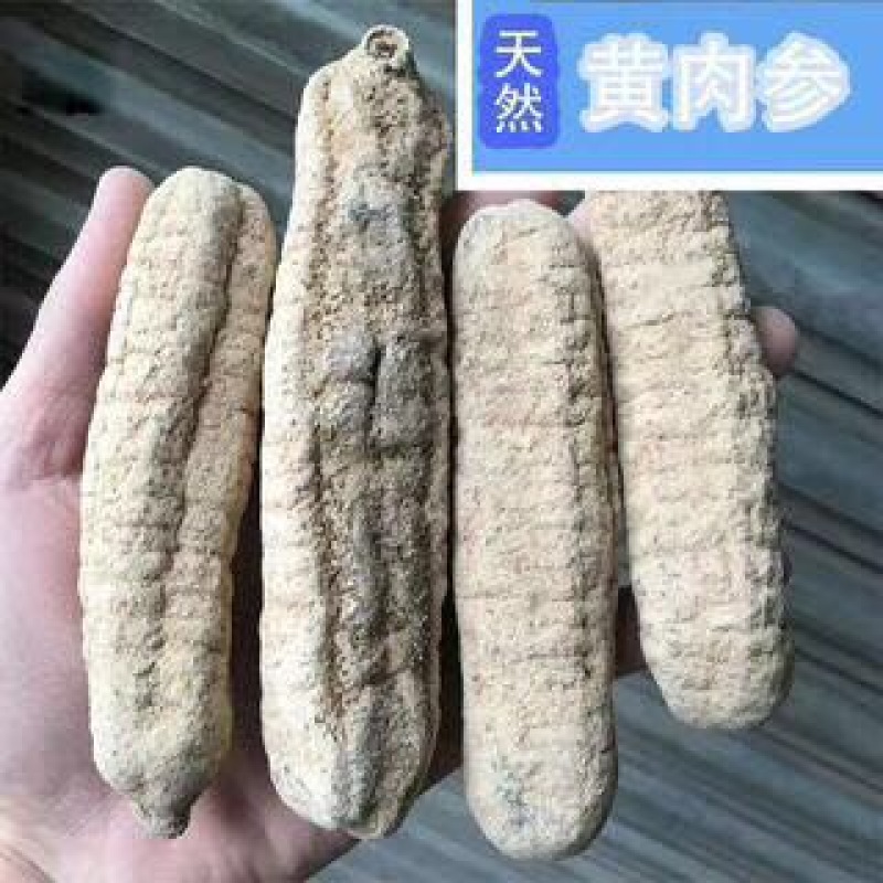 干海参