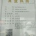百日草种子
