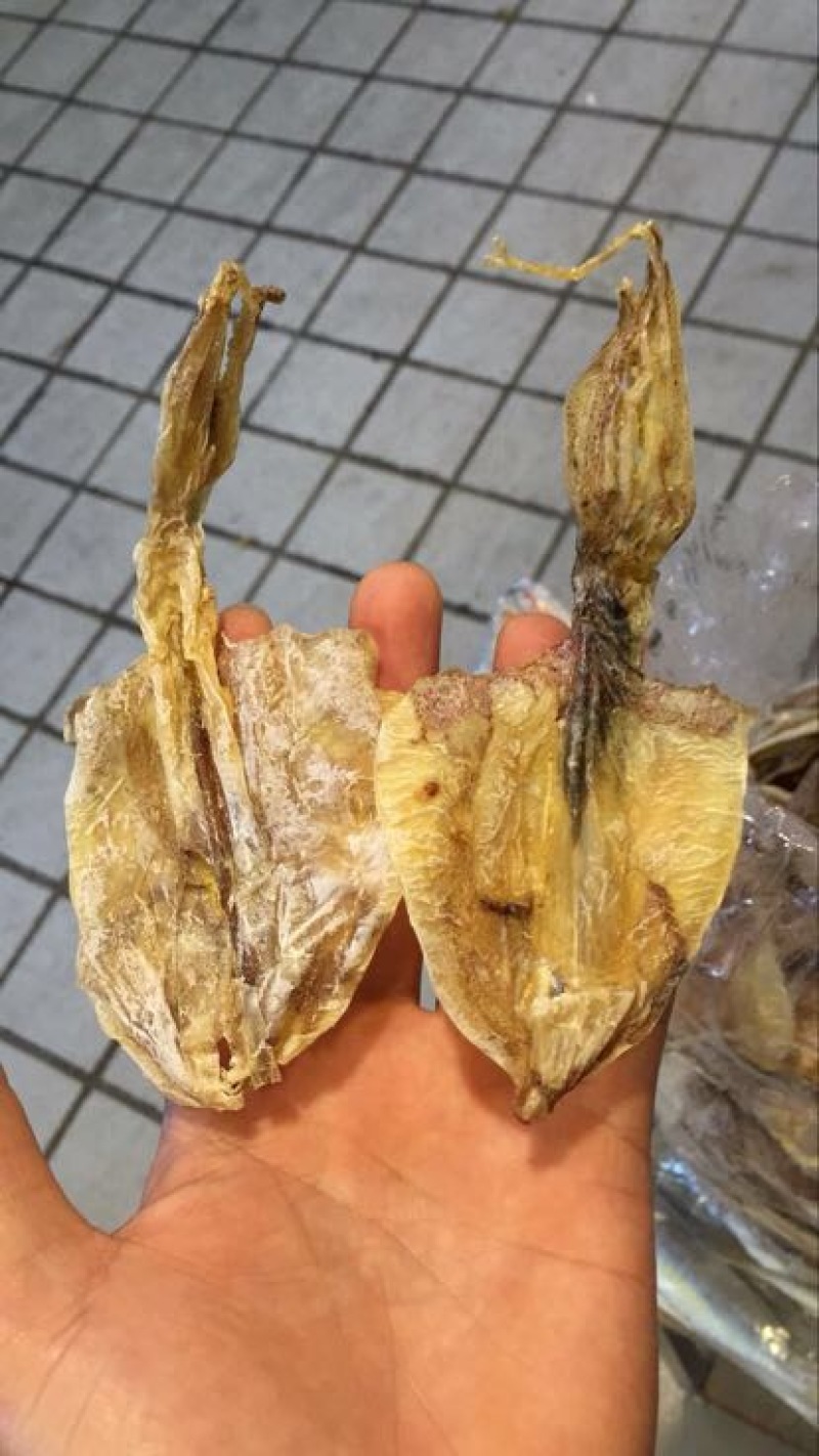 鱿鱼正宗北海船上吊晒鱿鱼干