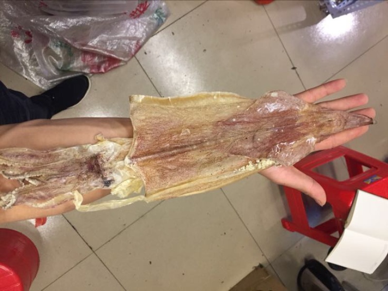 鱿鱼正宗北海船上吊晒鱿鱼干