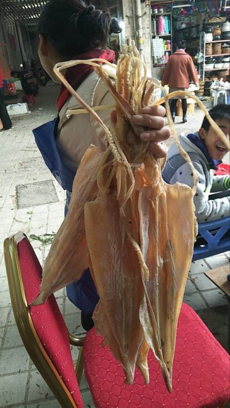 鱿鱼正宗北海船上吊晒鱿鱼干