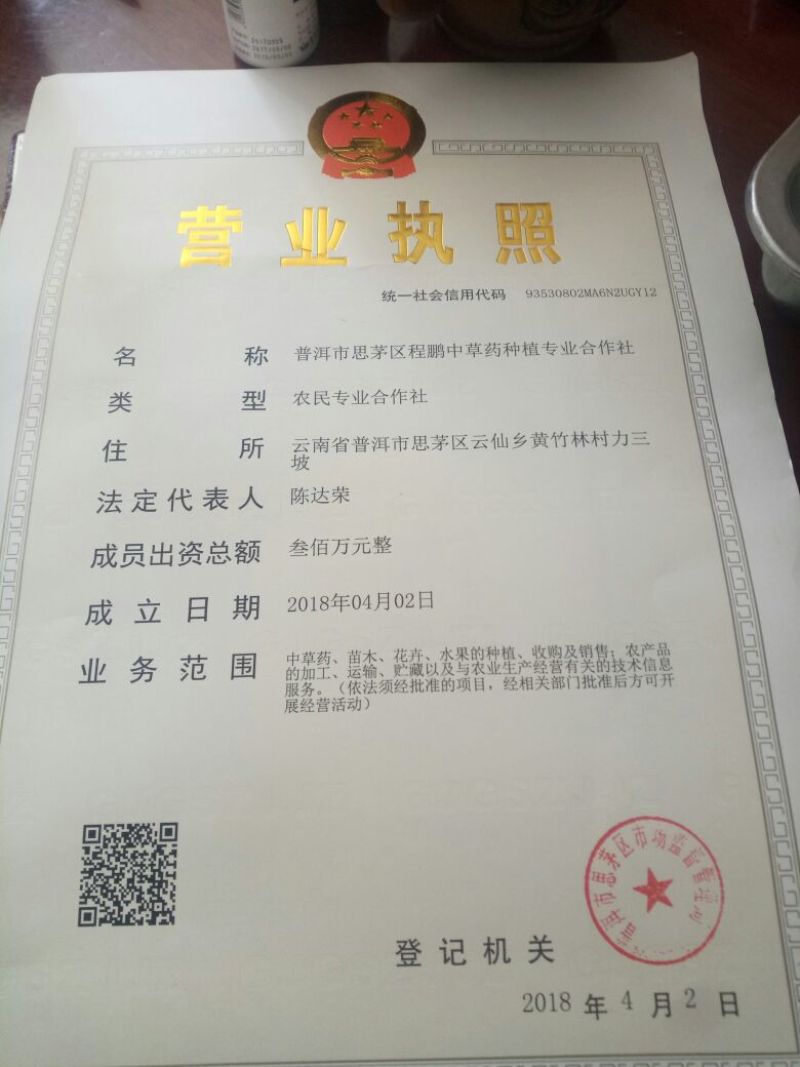 铁皮石斛野生石斛