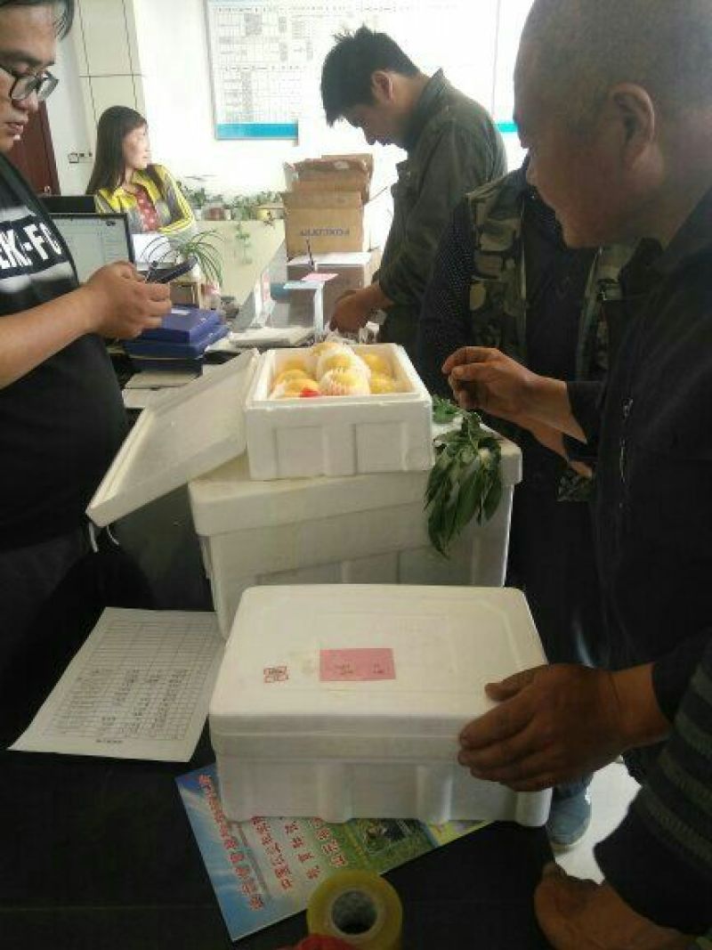 126油桃2两以上