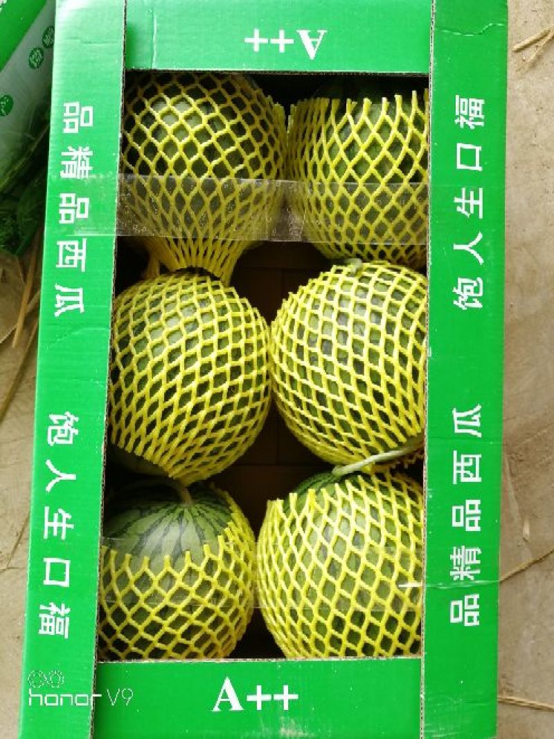 小兰西瓜3斤打底8成熟诚信代办产地直销
