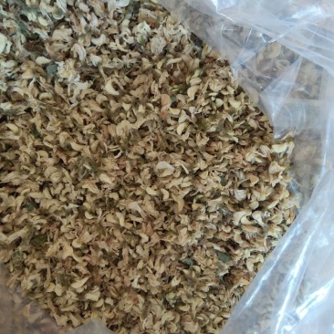 脱水槐花生槐花，熟槐花