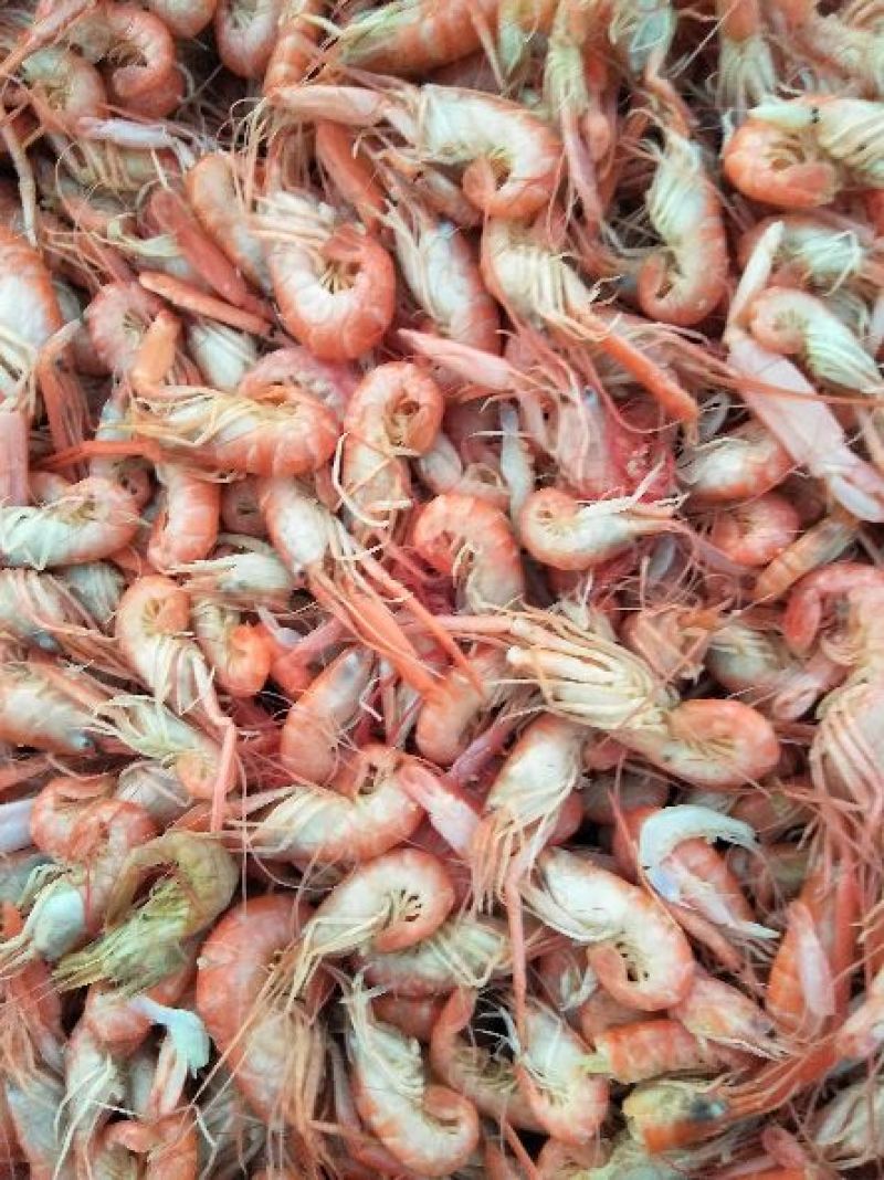 红虾冻虾