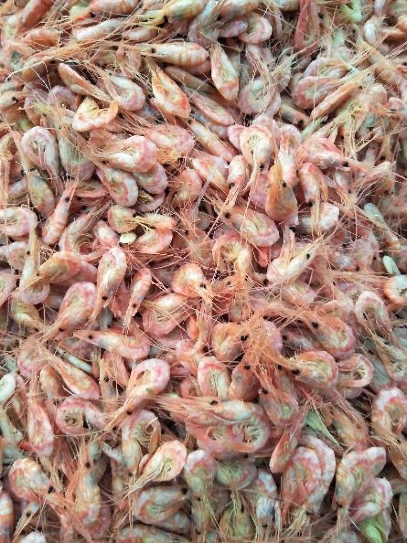 红虾冻虾