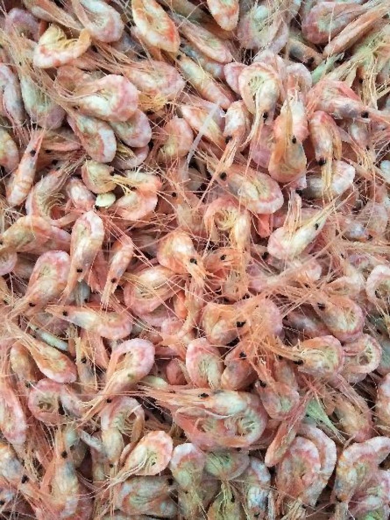 红虾冻虾
