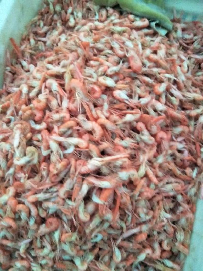 红虾冻虾