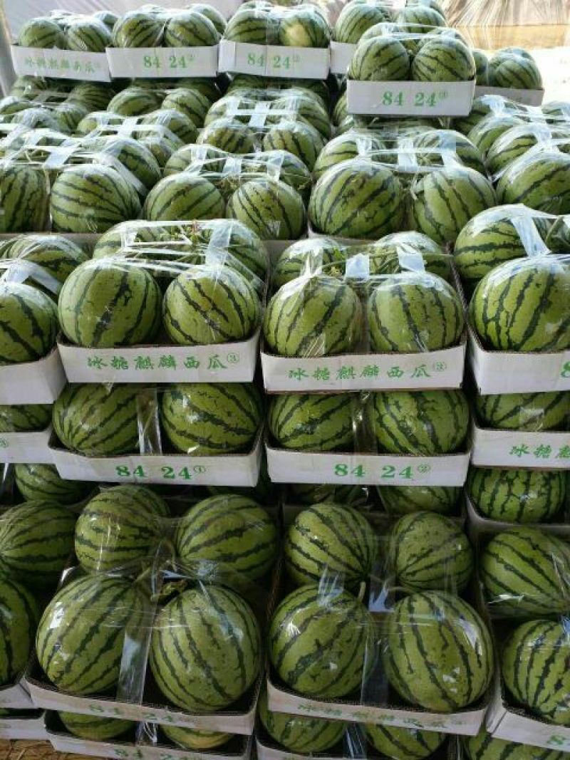 安徽美都西瓜皮薄口感甜量大代发全国保质保量