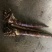 竹笋17~21cm