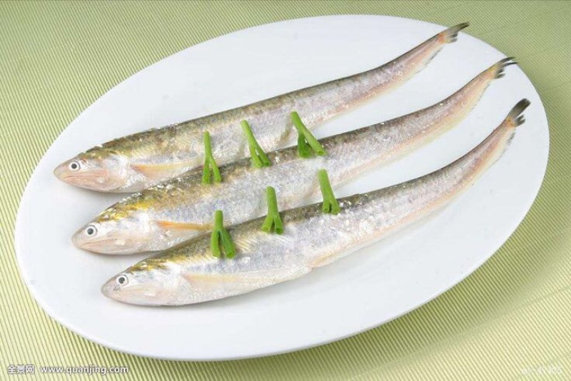 黄河刀鱼冰鲜鱼