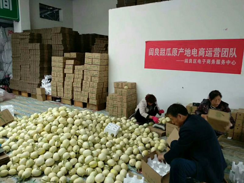 甜瓜1斤以上精品