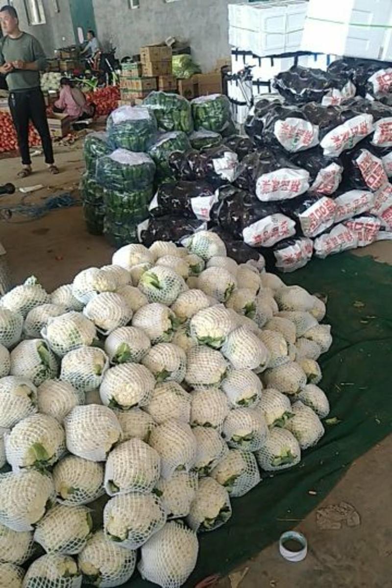 精品菜花，白面青梗花菜各大市场发货，量大优惠全国发货