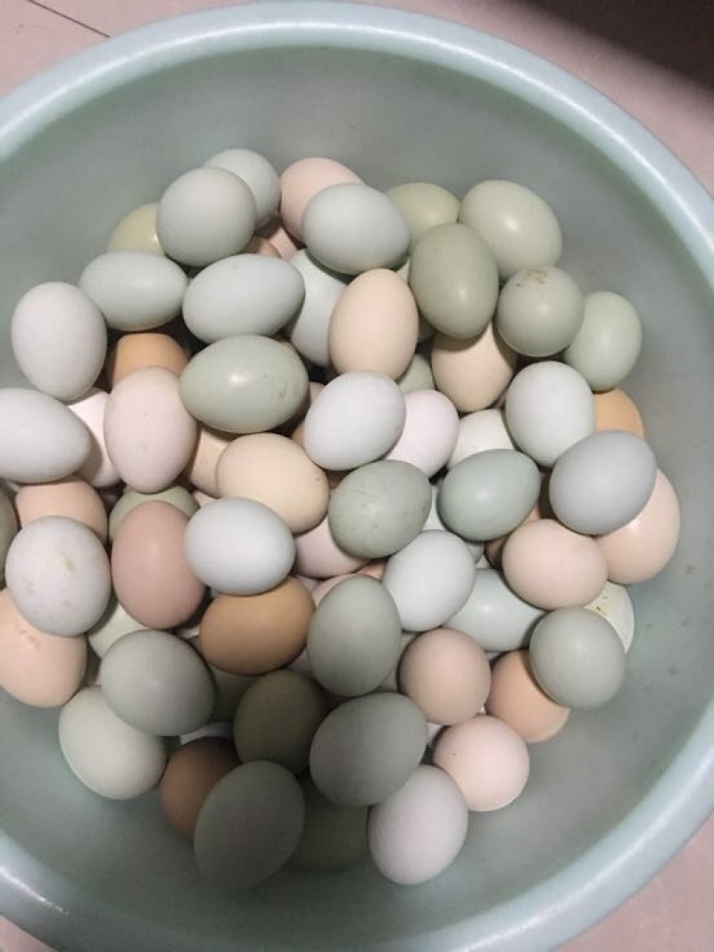 土鸡蛋食用50g以下