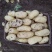 荷兰十五土豆通货3两以上