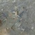 鲤鱼2~3公斤
